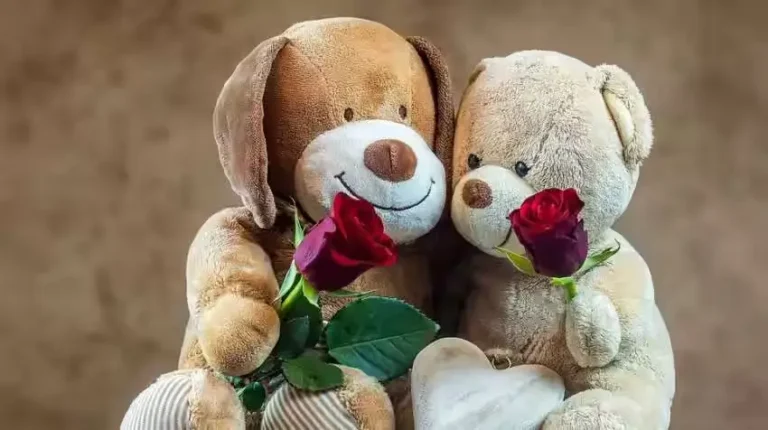 Teddy Day 2024: तिथि, इतिहास और महत्व से, आप सभी को पता होना चाहिए, Date, history and significance, फरवरी प्यार का महीना है